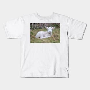 Lamb at rest Kids T-Shirt